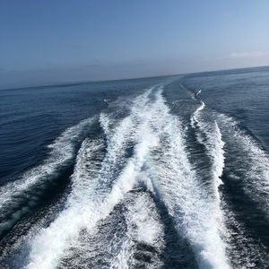 Meet your Posher, Sam